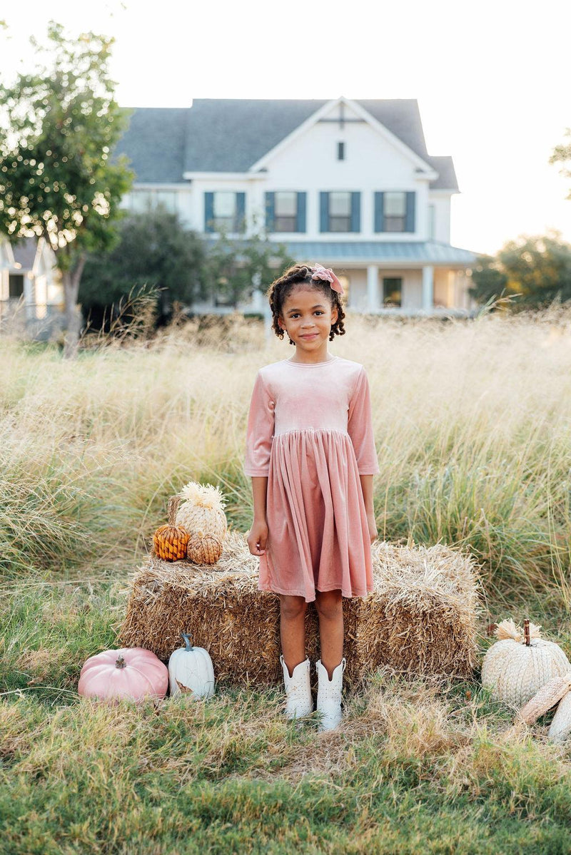 Vintage Pink Velvet Twirl Dress