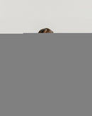 Tutu Romper | Checkered Mint