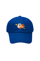Sports Baseball Hat (Youth)