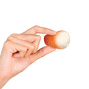NeeDoh Donut Holes – Teenie NeeDoh Sensory Fidget Toy (6 Pack)