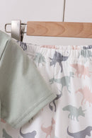 Green Dinosaur Set