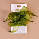 Sheer Green Step It Up Shoelaces | Boutique Sneaker Laces