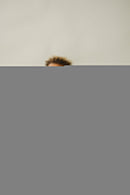 Cargo Shorts Set | Patriotic Vibes