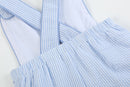 Blue Seersucker Bunny Shortalls