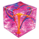 Fun Doh Squishy Charm Cube Sensory Fidget Toy – Assorted Styles