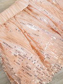 Gingerbread Glam Sparkly Skirt Set