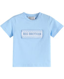 Light Blue Big Brother Smocked Shirt and Shorts Set