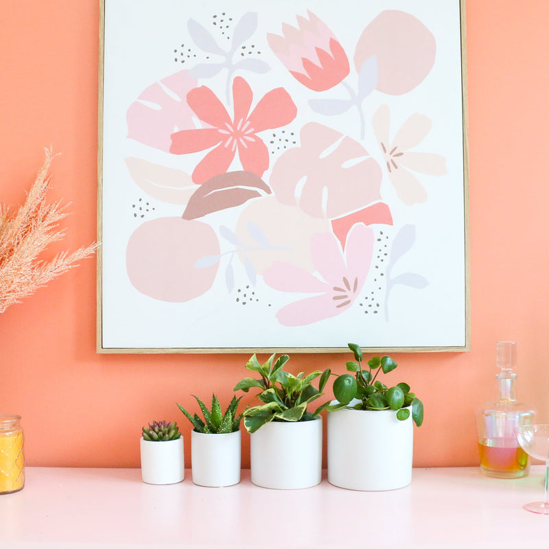 Ombre Cement Planter
