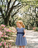 Royal Blue Gingham A-Line Dress