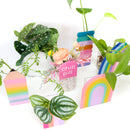 Rainbow Gradient Pencil Standing Propagation Planter