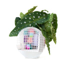 Disco Ball Standing Propagation Planter